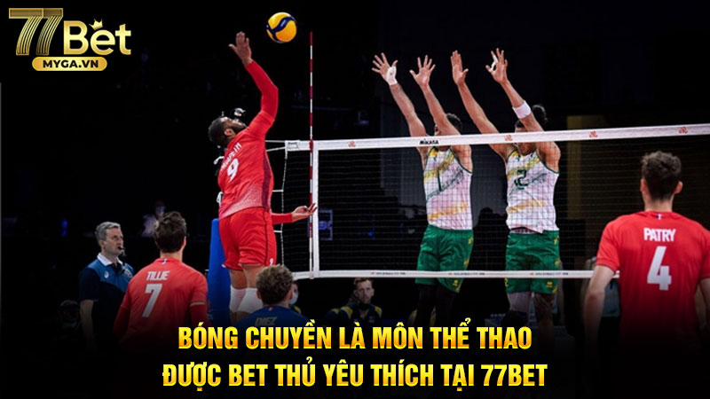 Bóng chuyền là môn thể thao đặt cược rất được yêu thích tại 77Bet